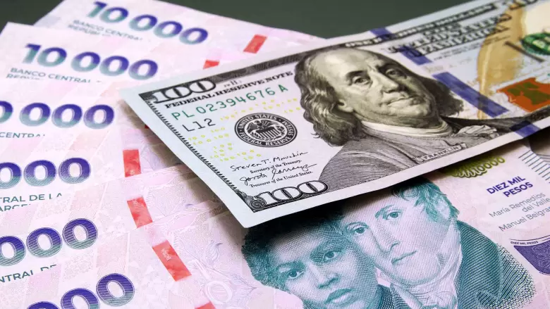pesos y dolares - ee
