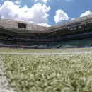 "El mejor de Brasil": los millones que invirtió Palmeiras para cambiar el césped del Allianz Parque