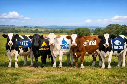 Las "vacas sagradas" de Uruguay: la idea que podría cambiar para siempre a Antel, Ancap y UTE.