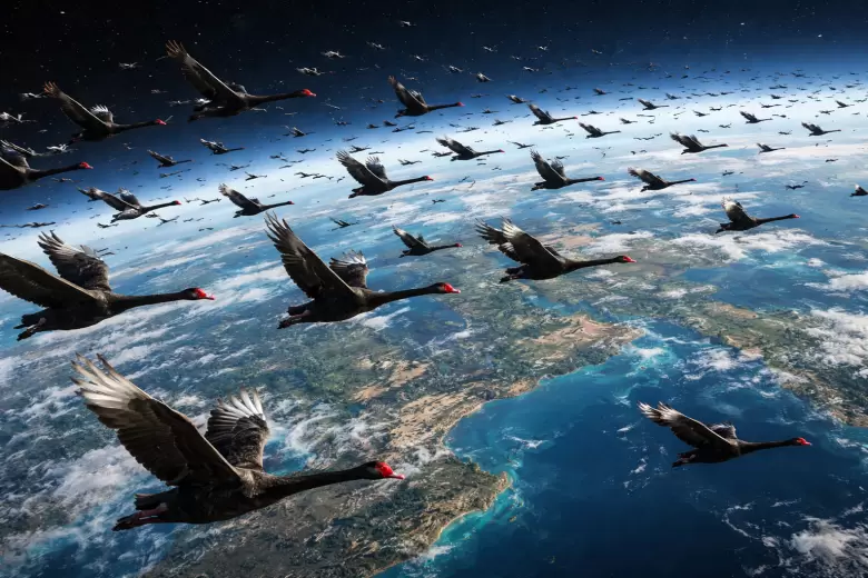 La policrisis y los cisnes negros ya no son abstracciones teóricas, sino características recurrentes del entorno operativo global.