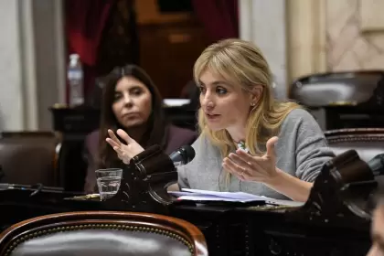 La diputada Daiana Fernández Molero (PRO), en el Congreso