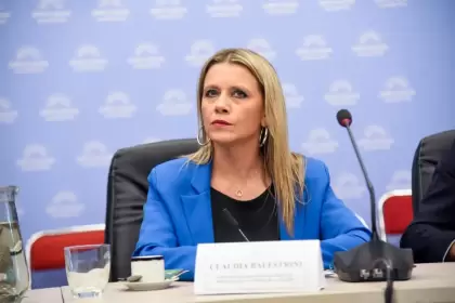 Claudia Fabiana Balestrini, Subsecretaria de Ingresos Públicos