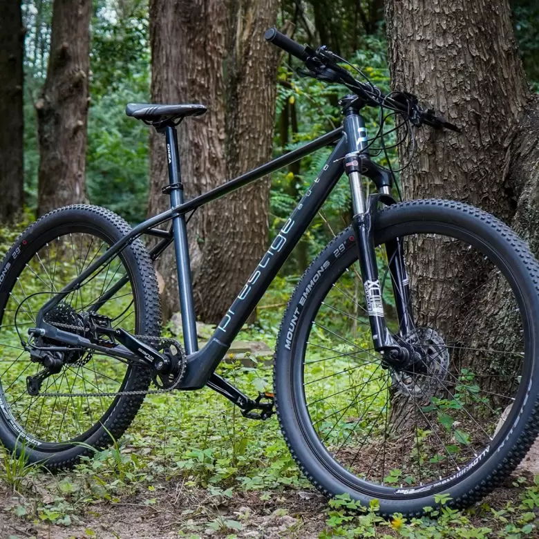 Está equipada con un motor de 350 W, tiene cinco niveles de asistencia al pedaleo y ofrece una autonomía de hasta 75 km.
