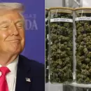 La derecha que no esperaban: Trump y el cannabis que la izquierda no supo capitalizar