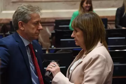 Eduardo Vischi y Patricia Bullrich, jefes de los bloques UCR y LLA en el Senado, respectivamente