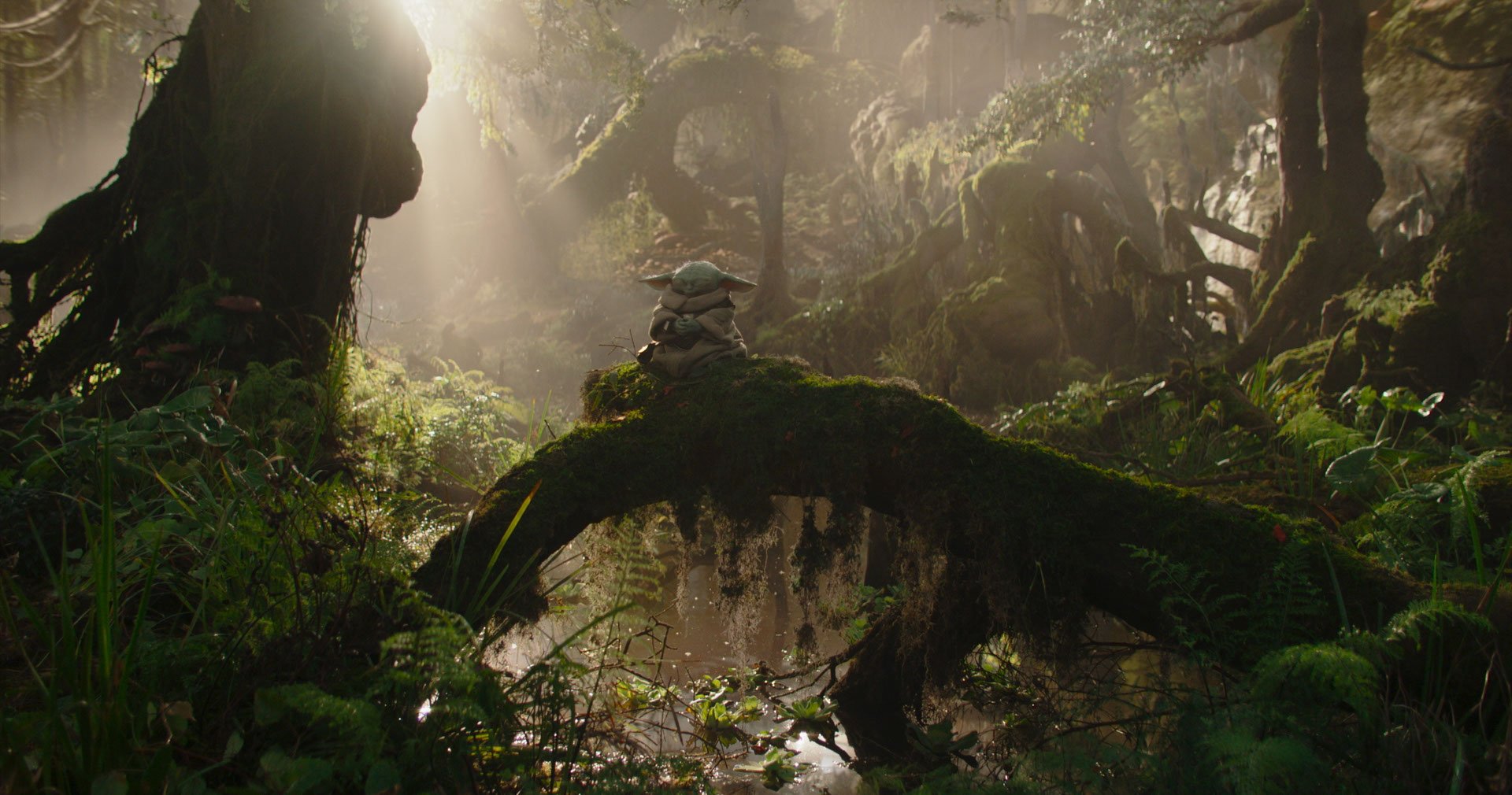 Grogu, o Baby Yoda