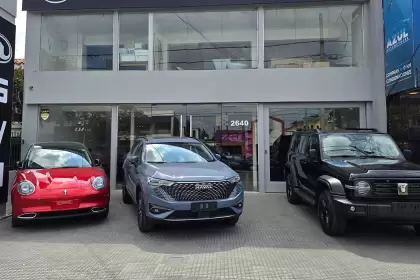 Los autos importados representan el 15% de los patentamientos y BYD ya es líder