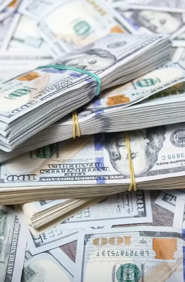 El Gobierno vuelca US$ 8.870 millones para darle "cobertura cambiaria" a los inversores