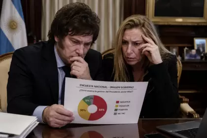 Los hermanos Milei leyendo encuestas
