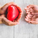 Día Nacional de la Donación de Órganos: por qué las cifras de donación no crecen el ritmo esperado