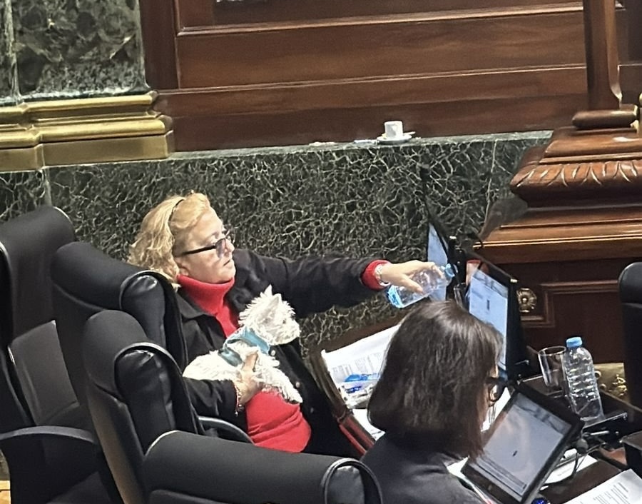 Buenos Aires: Nueva ley contra trapitos y deuda para subte F