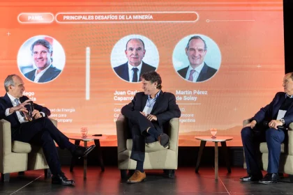 "Argentina está en condiciones de ingresar al mercado en el momento de mayor necesidad y mejores precios", dijo.