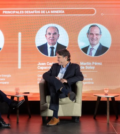 "Argentina está en condiciones de ingresar al mercado en el momento de mayor necesidad y mejores precios", dijo.