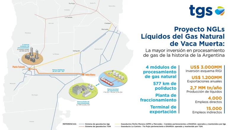 Inversión histórica para Vaca Muerta - (Archivo)