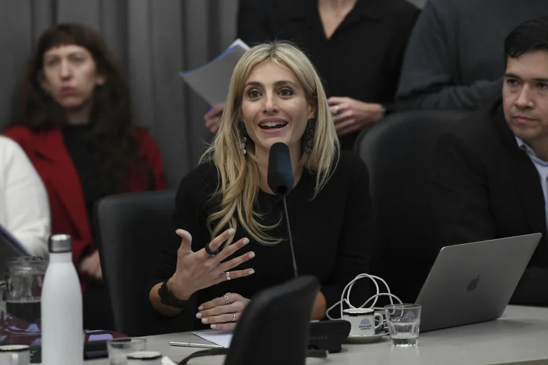 Un plenario de las Comisiones de Presupuesto y Hacienda, Industria, Ciencia, Tecnología e Innovación Productiva le dio dictamen de mayoría al proyecto - Prensa HCDN