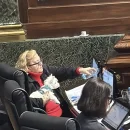 Ley anti trapitos, subte F, VTV y registro de sangre animal