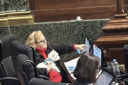 Los diputados porteños crearon el Registro de Donantes Voluntarios de Sangre de Caninos y Felinos