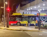 El diésel sigue siendo el combustible dominante.