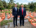 Kushner, Trump y los flamencos.