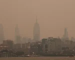 Muy baja visibilidad en Manhattan.